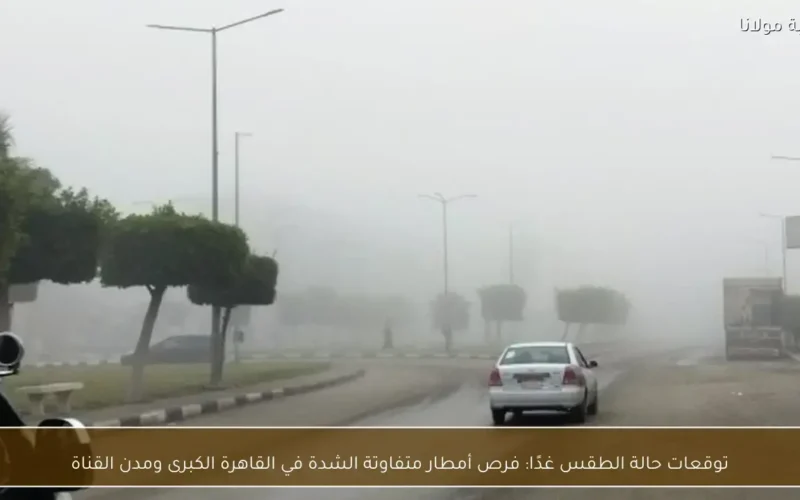 توقعات طقس الغد: فرص أمطار متفاوتة الشدة تضرب القاهرة الكبرى ومدن القناة